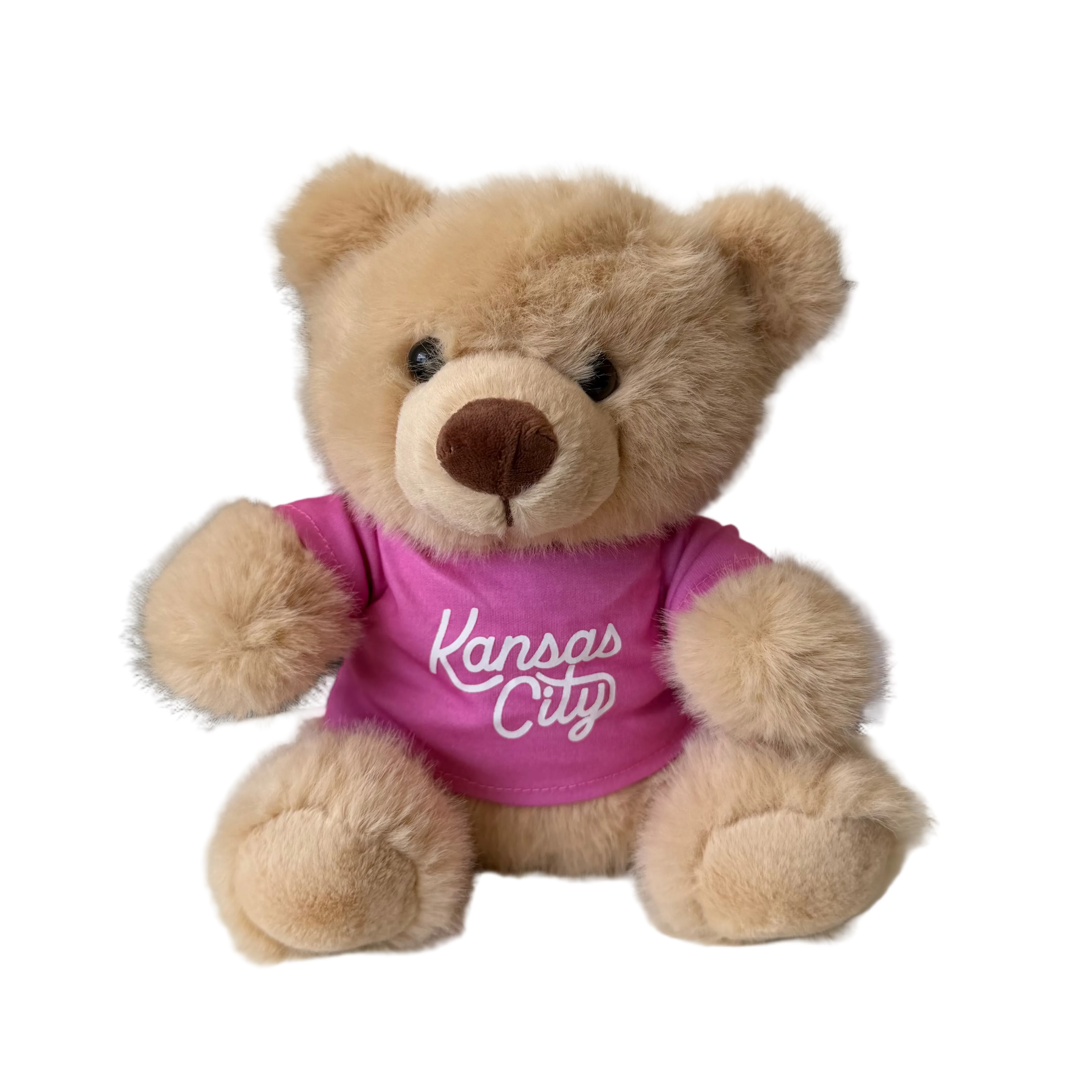Teddy Bear - Pink Shirt