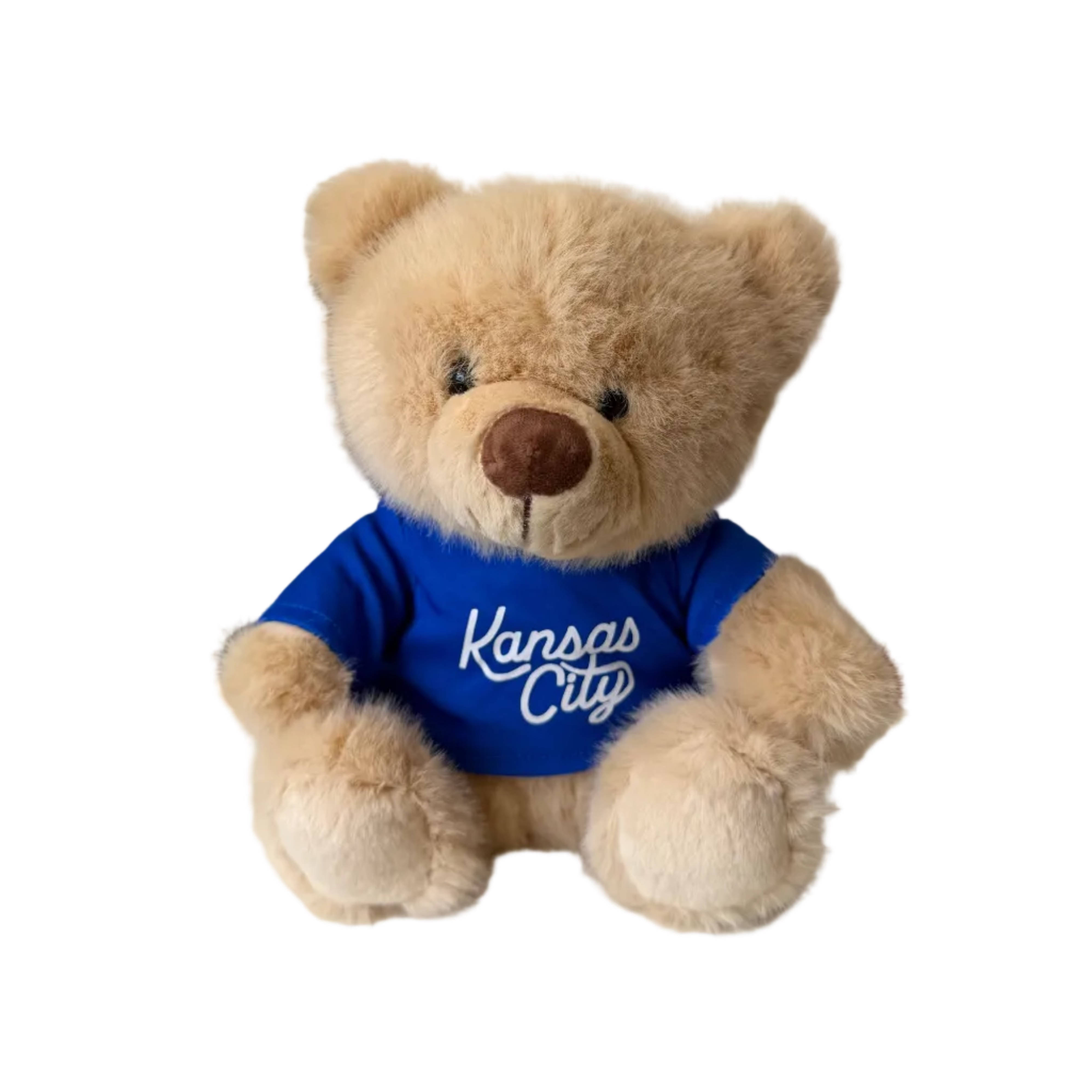 Teddy Bear - Blue Shirt