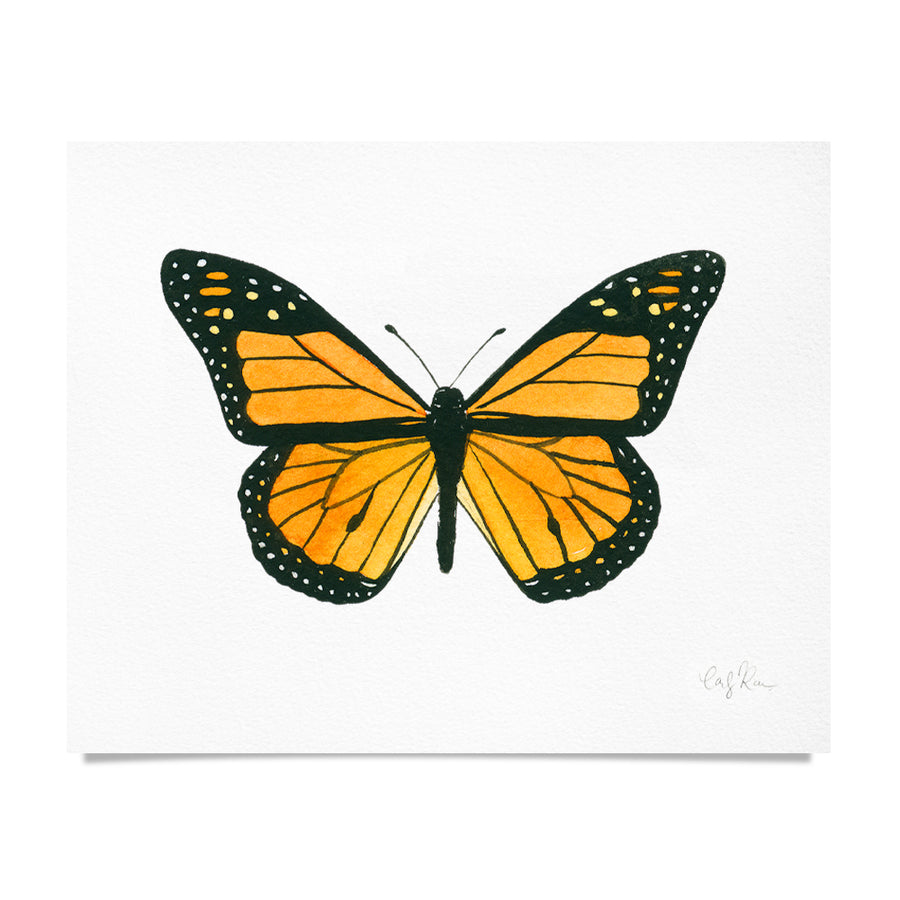 Monarch Butterfly Watercolor Print