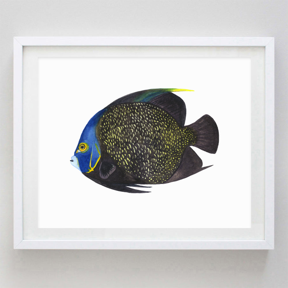 Tropical Fish 2 (Angel Fish) Watercolor Print