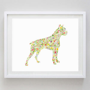 art print - boxer floral watercolor print - carly rae studio