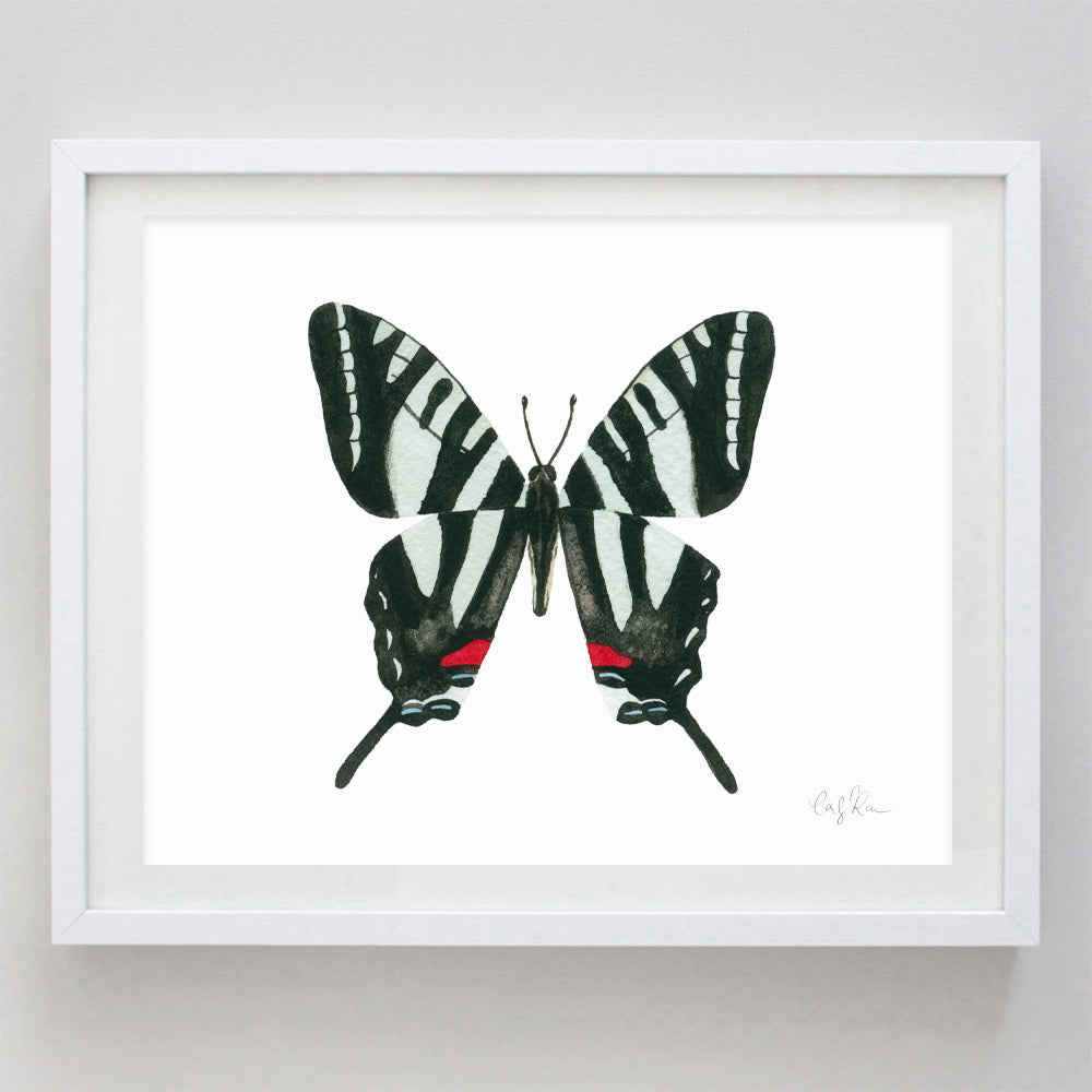 Zebra Swallowtail Butterfly Watercolor Print