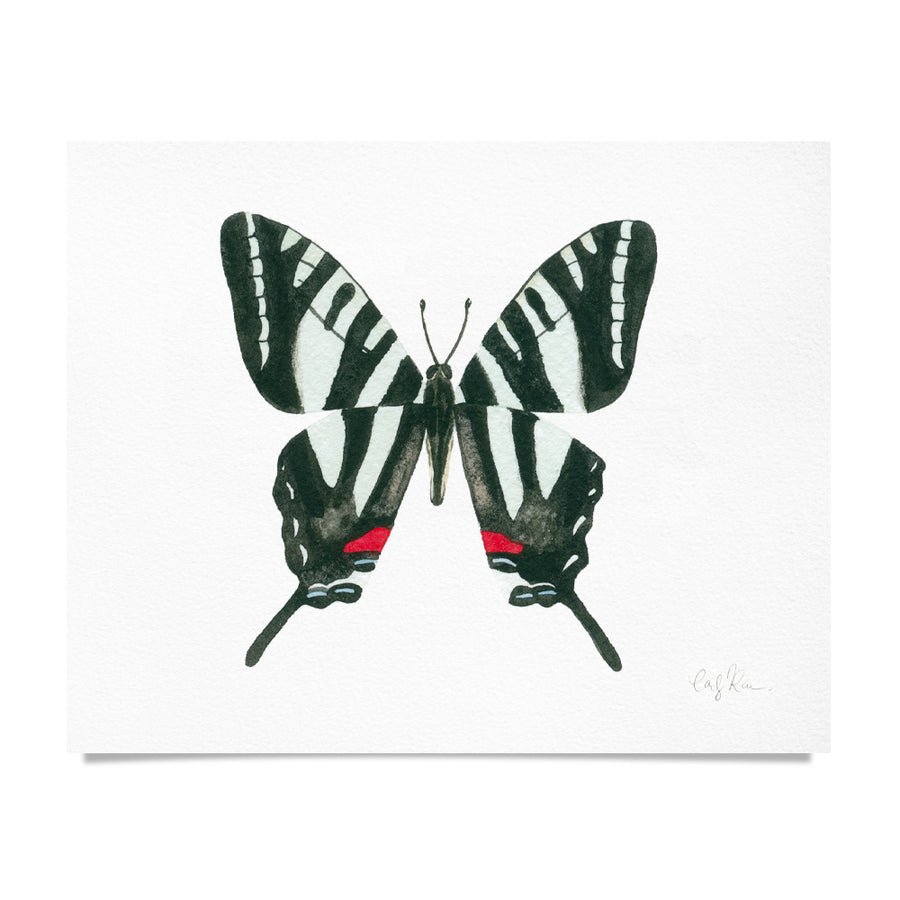 Zebra Swallowtail Butterfly Watercolor Print
