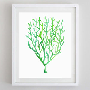 Coral Watercolor Print