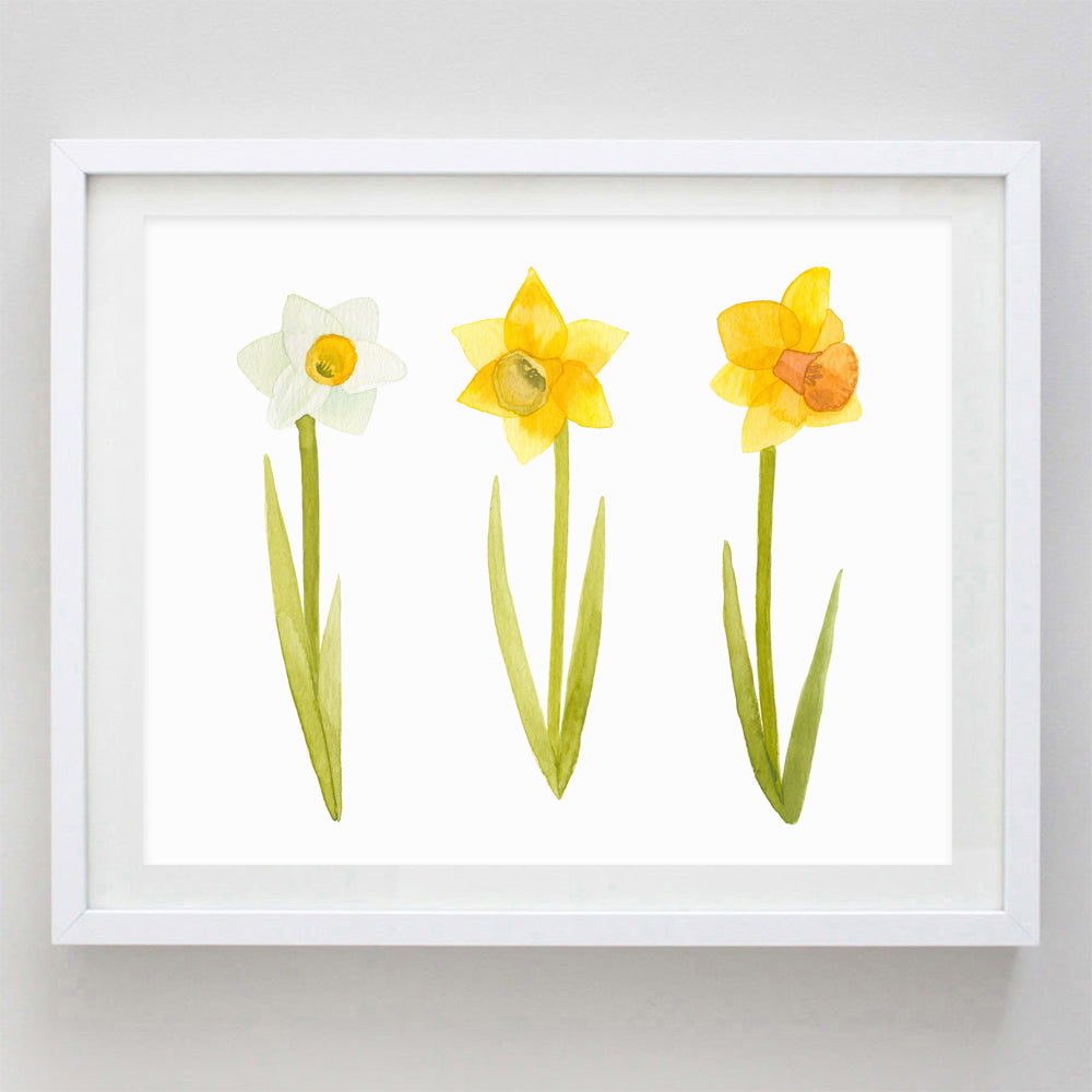 Daffodil Watercolor Print