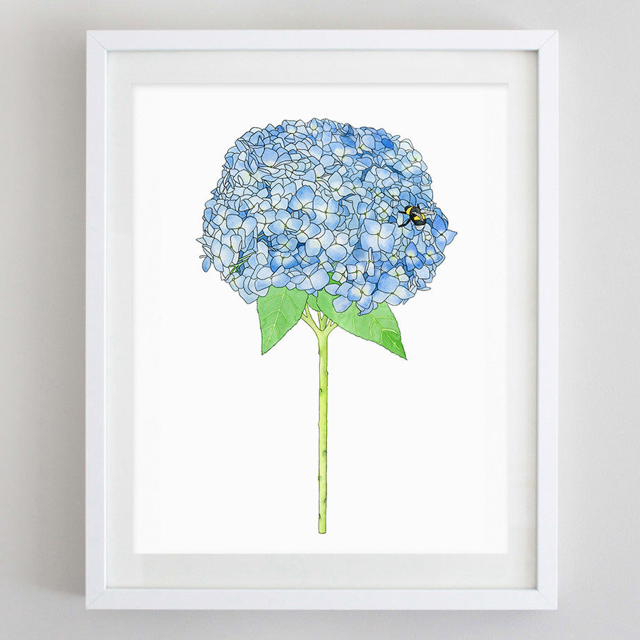 Hydrangea Floral Watercolor Print