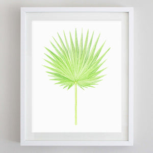 art print - set of tropical leaf botanical watercolor print - carly rae studio