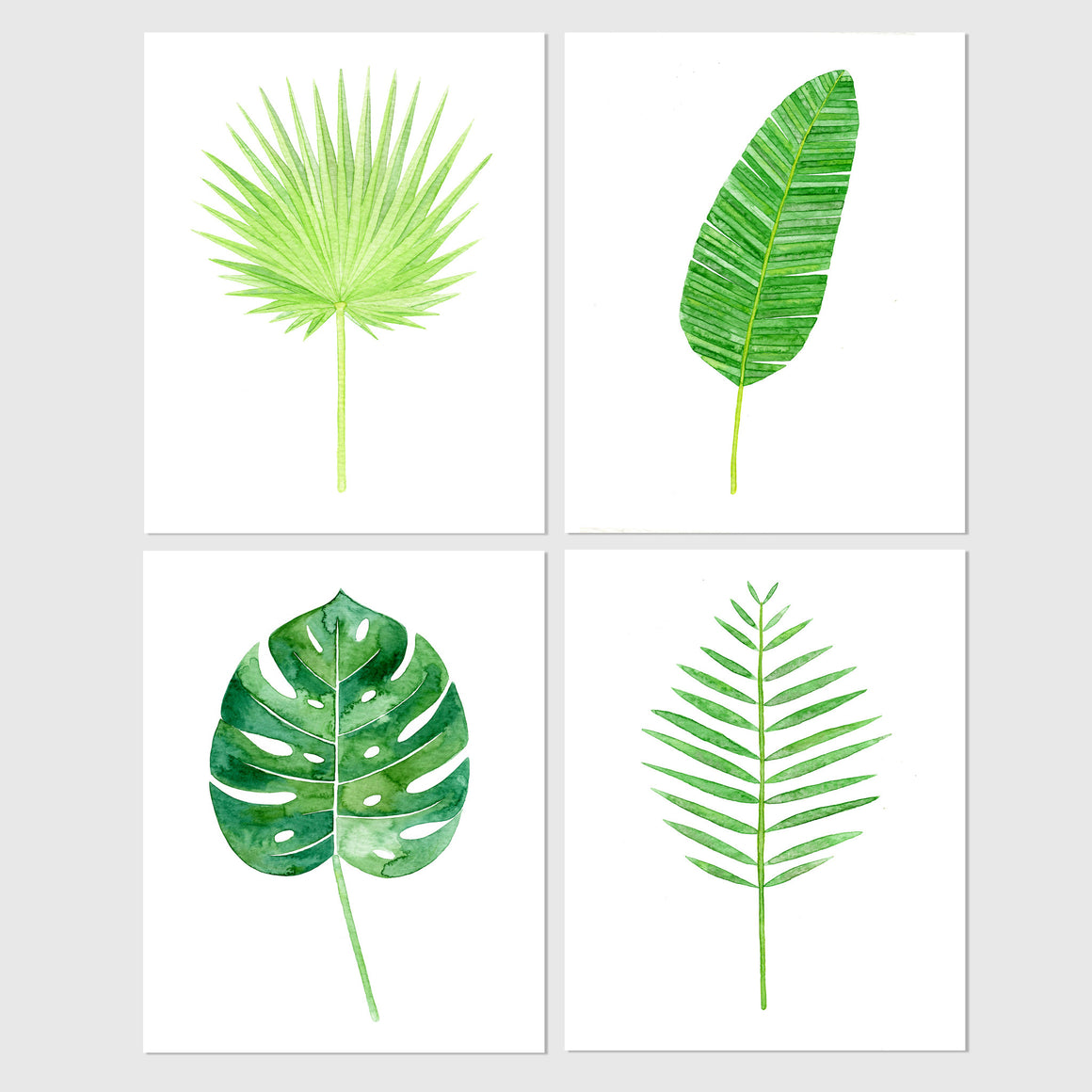 art print - set of tropical leaf botanical watercolor print - carly rae studio