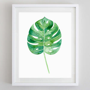 art print - philodendron leaf botanical watercolor print - carly rae studio