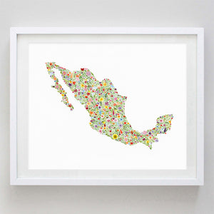 art print - mexico floral watercolor print - carly rae studio
