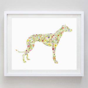 Miniature Italian Greyhound Floral Watercolor Print