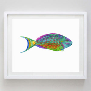 Tropical Fish 2 (Angel Fish) Watercolor Print