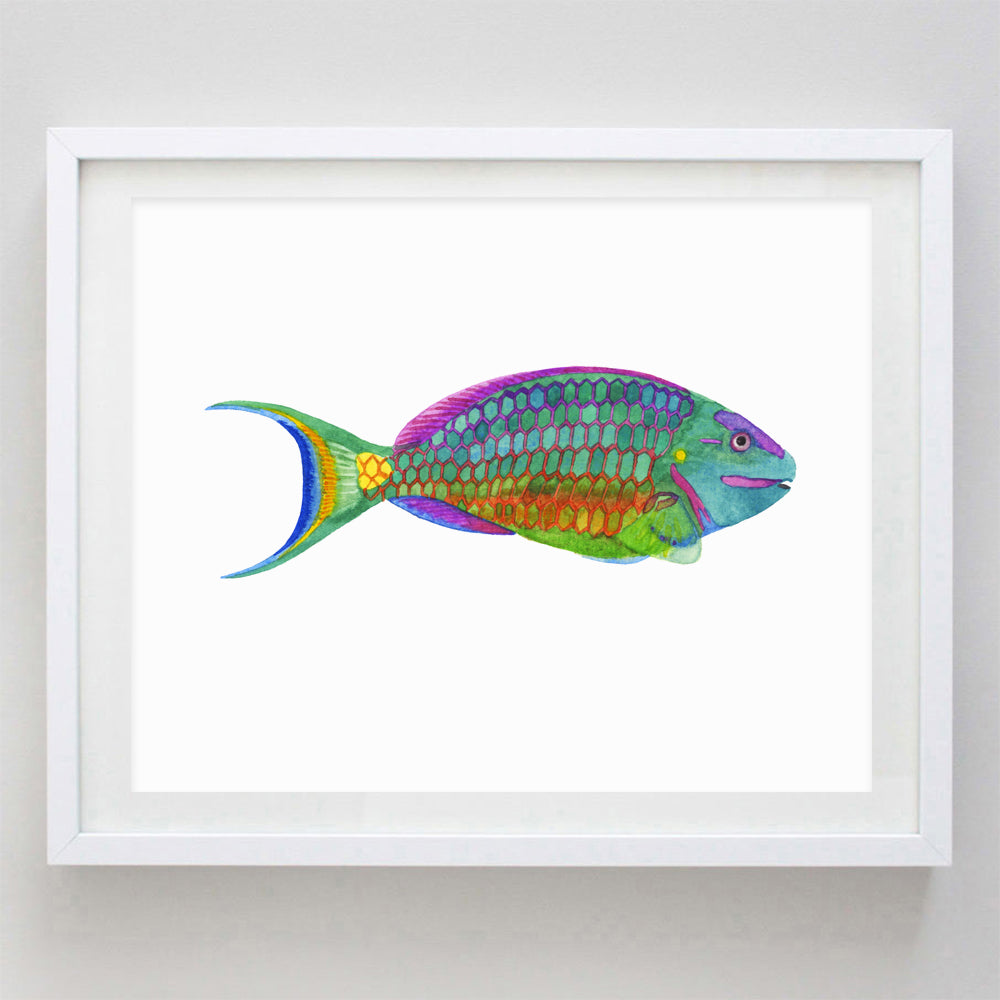 Tropical Fish 1 (Mandarin Goby) Watercolor Print