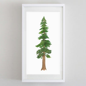 Redwood Tree Watercolor Print