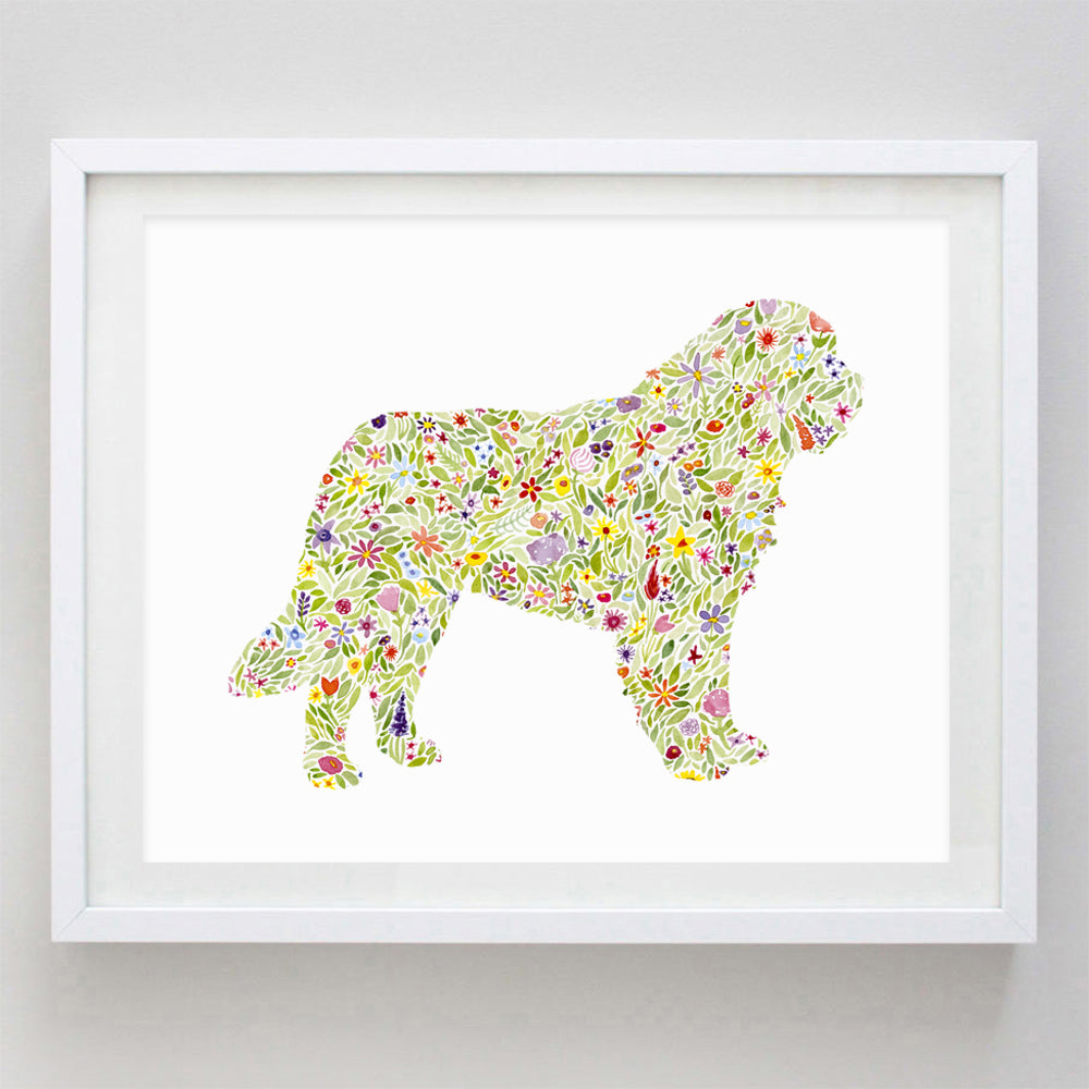 St. Bernard Floral Watercolor Print