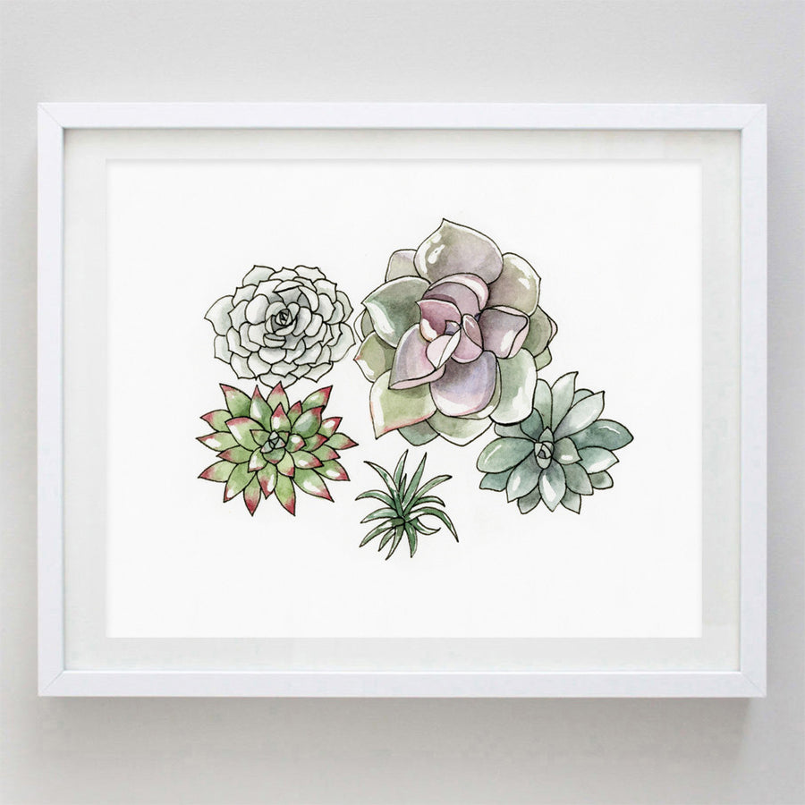 art print - succulent watercolor print - carly rae studio