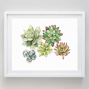 art print - succulent watercolor print - carly rae studio