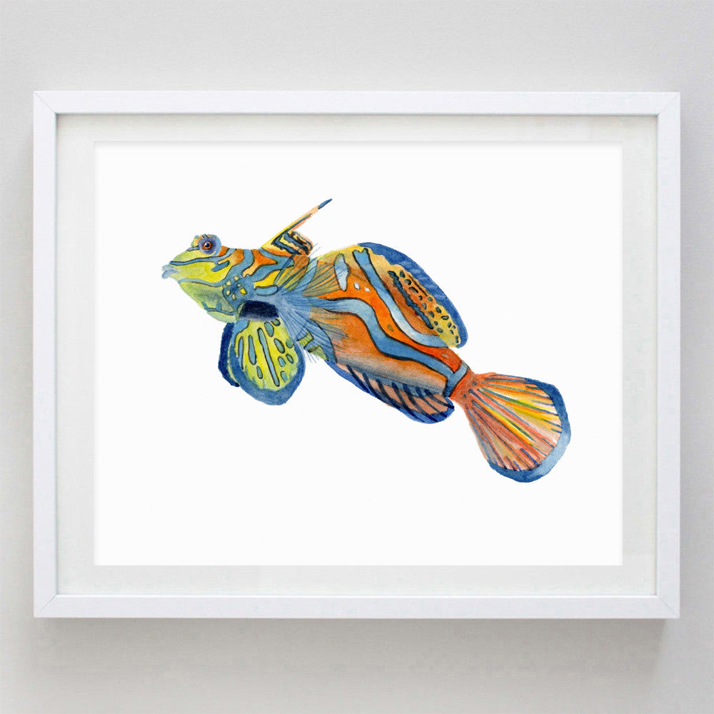 art print - mandarin goby watercolor print - carly rae studio