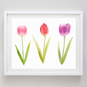 Tulip Watercolor Print